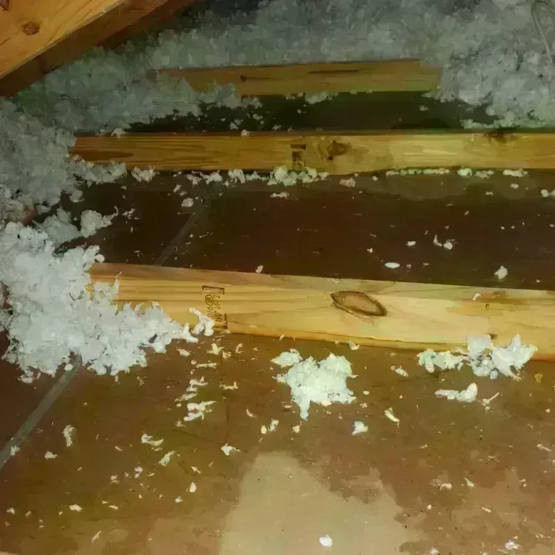 Attic Water Damage in Wasco, CA